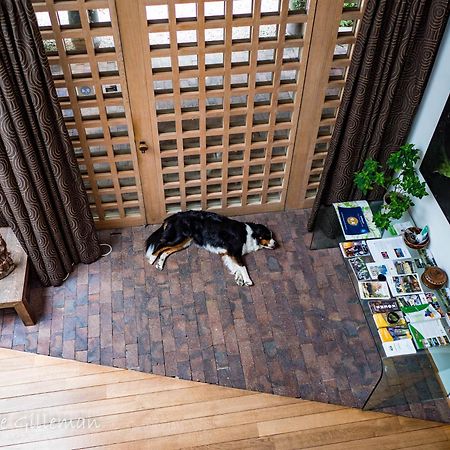 La Petite Bruyere De Renaix Bed & Breakfast Luaran gambar